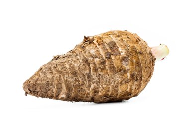 Taro kökü beyaz arkaplanda izole edildi