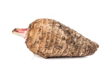 Taro kökü beyaz arkaplanda izole edildi