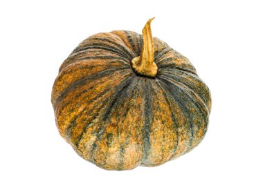 Asya balkabağı beyaz arka plan üzerinde izole