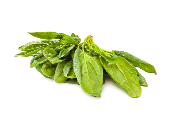 Spinat Gemüse isoliert auf weißem Hintergrund — Stockfoto