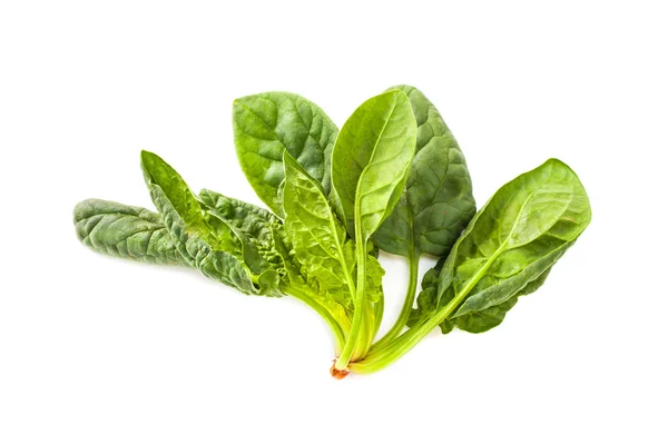 Špenát zelenina izolovaných na bílém pozadí — Stock fotografie