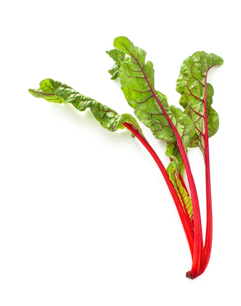 Mangold zelenina izolovaných na bílém pozadí — Stock fotografie