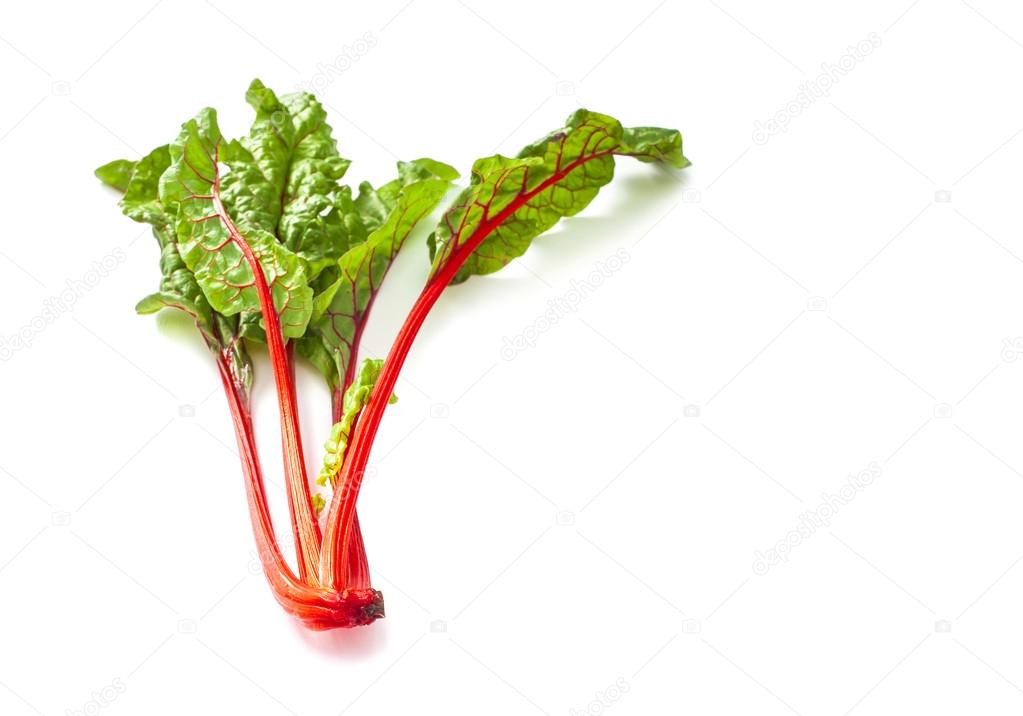 Swiss chard vegetable isolated on white background