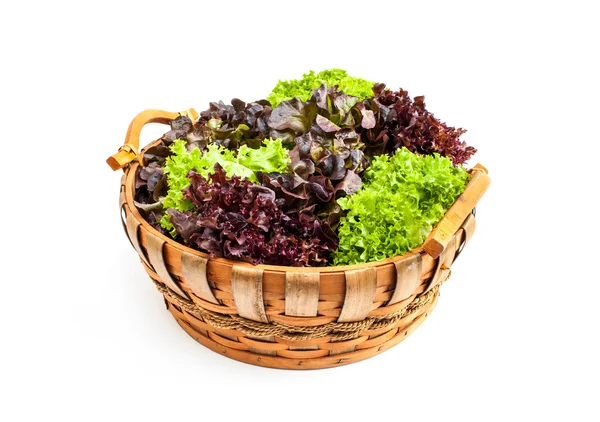 Gemüsekorb isoliert auf weißem Hintergrund — Stockfoto