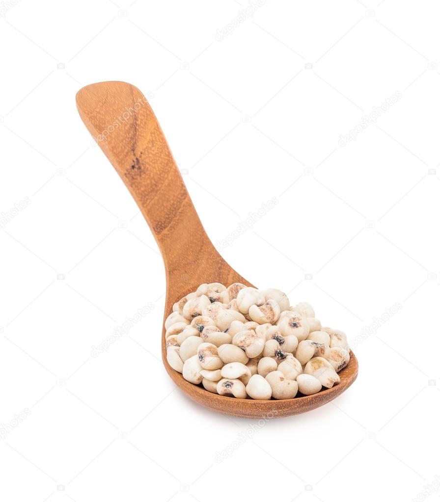 Jobs tears grain seed with wooden spoon isolated on white background