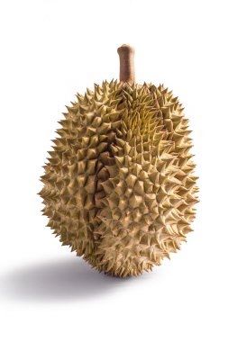 Beyaz arka plan üzerinde izole durian Tay meyve