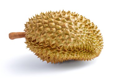 Beyaz arka plan üzerinde izole durian Tay meyve