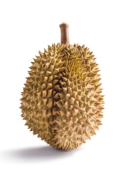 Beyaz arka plan üzerinde izole durian Tay meyve