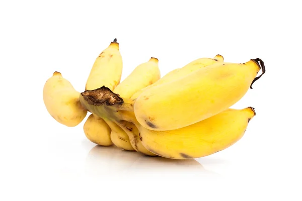 Plátano cultivado aislado sobre fondo blanco — Foto de Stock