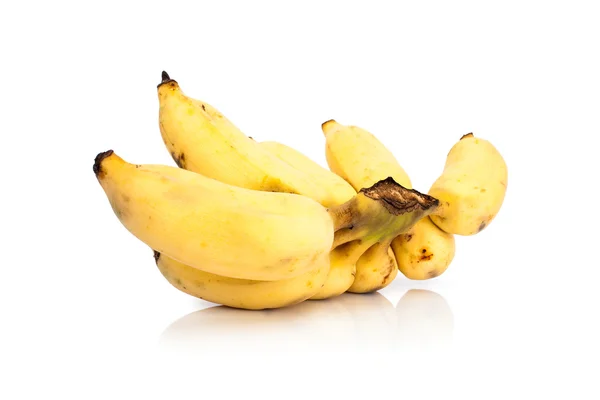 Plátano cultivado aislado sobre fondo blanco — Foto de Stock