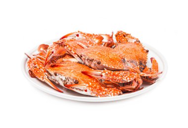 Beyaz arka plan üzerinde izole deniz ürünleri buharda pişmiş Yengeç