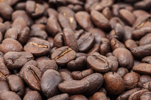 Coffee beans — Stock Photo, Image