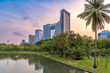 Bangkok, Tayland 14 Şubat 2026 Chatuchak Park Gölü manzaralı, palmiye ağaçları ve modern gökdelenler suya yansıyor.