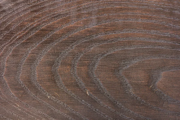 Texture of natural wood background — Stock Photo, Image