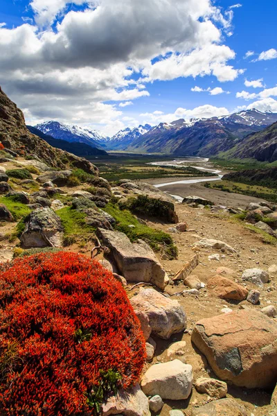 Krajobraz górski, góry z rzeki krajobraz, patagonia, Ameryka Południowa — Zdjęcie stockowe