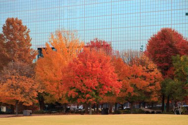 Atlanta downtown sabah görünümü, cityscape bakış, şehir merkezindeki sabah görünümü