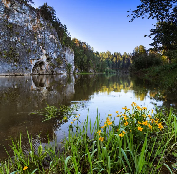 Şafaktan önce Milli Parkı geyik Springs