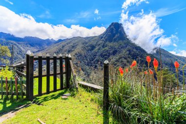 the gate to the top of the mountain, cocoa valley, colombia, mountain top view