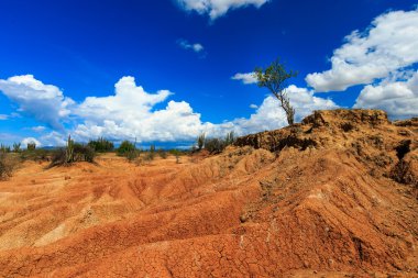 desert, sunset in desert, tatacoa desert, columbia, latin america, clouds and sand, red sand in desert, cactus in the desert, cactus