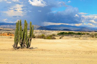 desert, sunset in desert, tatacoa desert, columbia, latin america, clouds and sand, red sand in desert, cactus in the desert, cactus