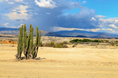 desert, sunset in desert, tatacoa desert, columbia, latin america, clouds and sand, red sand in desert, cactus in the desert, cactus clipart