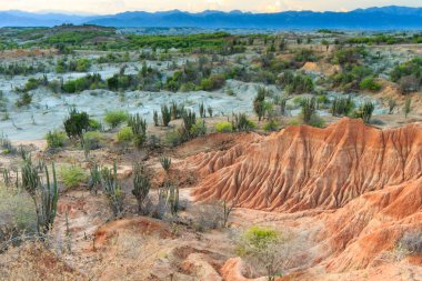 desert, sunset in desert, tatacoa desert, columbia, latin america, clouds and sand, red sand in desert, cactus in the desert, cactus
