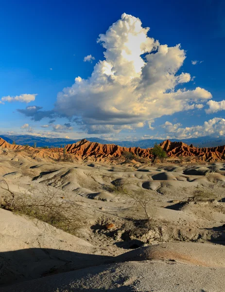desert, sunset in desert, tatacoa desert, columbia, latin america, clouds and sand, red sand in desert, cactus in the desert, cactus