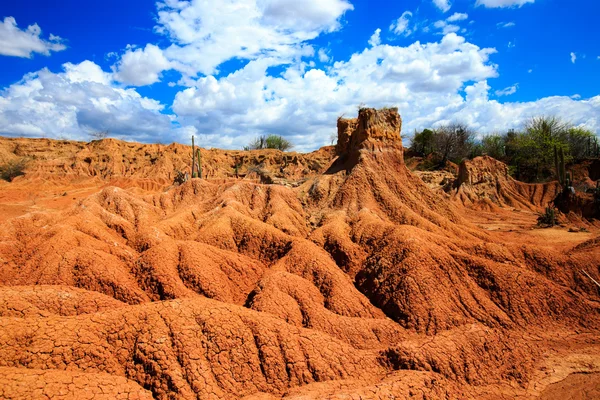 desert, sunset in desert, tatacoa desert, columbia, latin america, clouds and sand, red sand in desert, cactus in the desert, cactus