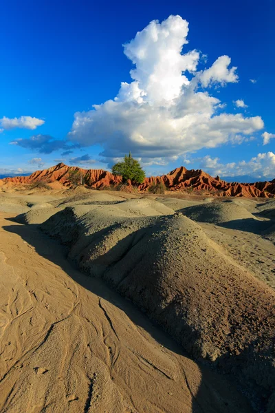 Desert, sunset in desert, tatacoa desert, columbia, latin america, clouds and sand, red sand in desert, cactus in the desert, cactus — ストック写真