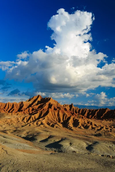 Desert, sunset in desert, tatacoa desert, columbia, latin america, clouds and sand, red sand in desert, cactus in the desert, cactus — Zdjęcie stockowe