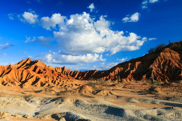 Desert, sunset in desert, tatacoa desert, columbia, latin america, clouds and sand, red sand in desert, cactus in the desert, cactus — Φωτογραφία Αρχείου