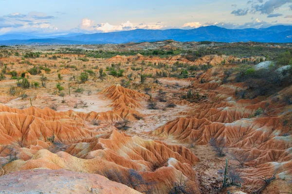 Deserto, pôr do sol no deserto, deserto de tatacoa, colúmbia, américa latina, nuvens e areia, areia vermelha no deserto, cacto no deserto, cacto — Fotografia de Stock