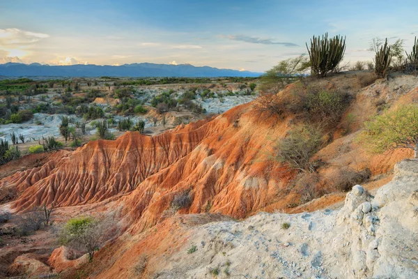 desert, sunset in desert, tatacoa desert, columbia, latin america, clouds and sand, red sand in desert, cactus in the desert, cactus