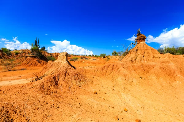 Desert, cactus in desert, tatacoa desert, columbia, latin america, clouds and sand, red sand in desert, cactus — Stock Photo, Image