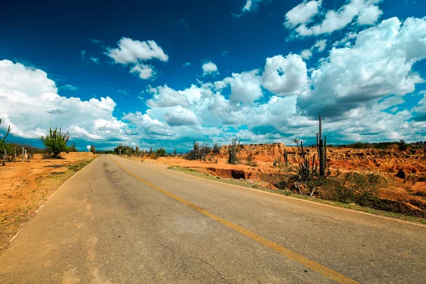 çöl road, Kolombiya, latin Amerika, boş yol çöl