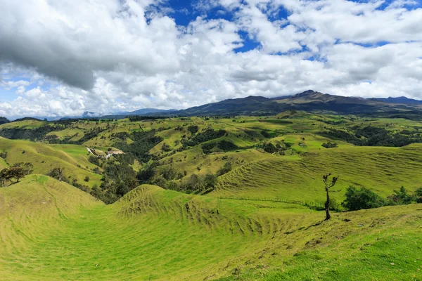 Orman Kolombiyalı Yeşil dağlar, Kolombiya, latin Amerika'da