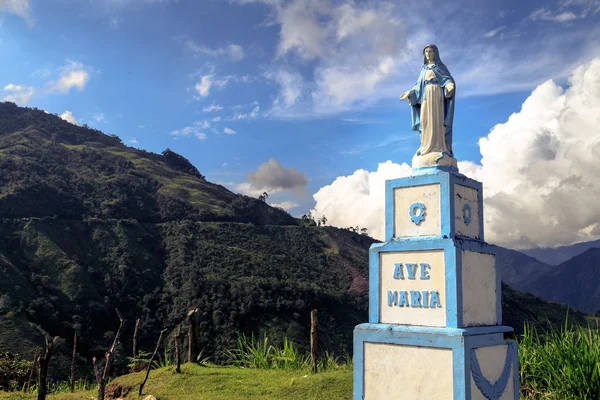 Paisagem colombiana, montanhas verdes na colômbia, américa latina, palmeiras e árvores de café na colômbia — Fotografia de Stock