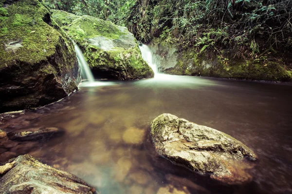 Vale do cocora, selva colombiana, cachoeiras na floresta, cachoeira na selva, colômbia, montanhas verdes, américa latina — Fotografia de Stock