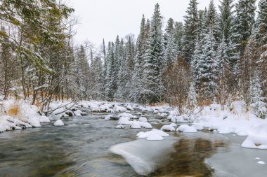 soğuk su Kuzey Nehri, Rus orman, karlı nehir, nehir orman içinde karlı taş olan