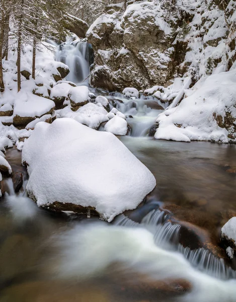Zimnej wody north river, rosyjski lasu, śnieżne rzeka, rzeka z snowy kamienie w lesie — Zdjęcie stockowe
