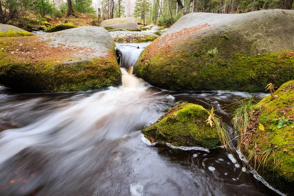 Szalejące rzeki jesień w lesie — Zdjęcie stockowe