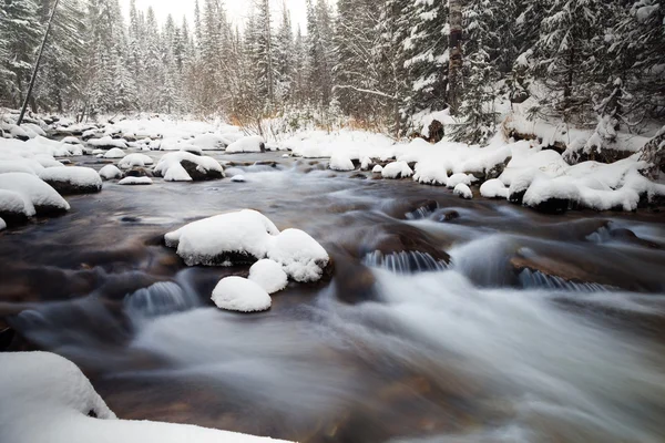 Cold water of north river, russian nature, waterfall — Stock Photo, Image