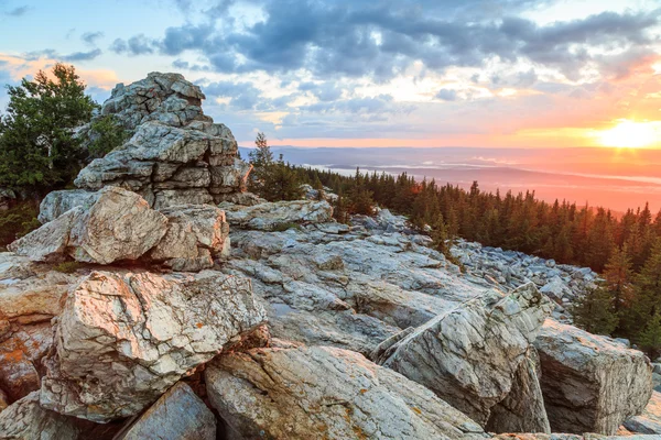gündoğumu Dağı, üst sırt, ridge orman üst