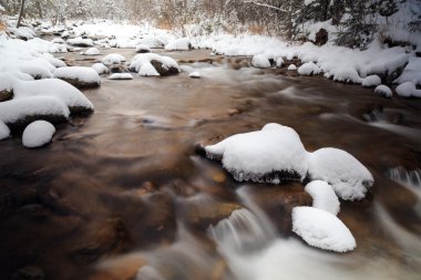 soğuk su Kuzey Nehri, Rus orman, karlı nehir, nehir orman içinde karlı taş olan