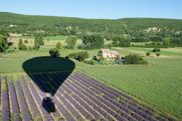 Luftballonschatten über Lavendelbüschen und grünen Feldern der Provence lizenzfreie Stockfotos