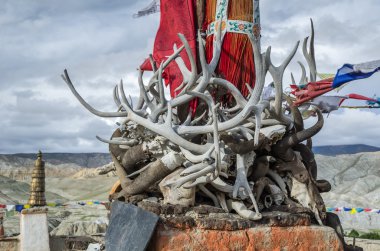 Boynuzları, dişleri ve boynuzları eski ölü hayvan, üst Mustang, Nepal