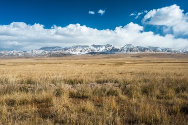Tibet yaylaları ve Daotanghe city yakınındaki uzak karlı dağlar