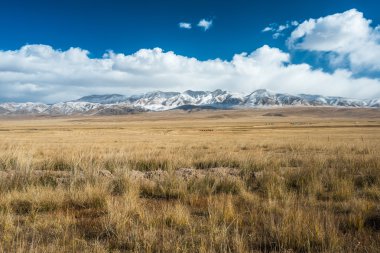 Tibetan highlands and distant snowy mountains near Daotanghe city clipart