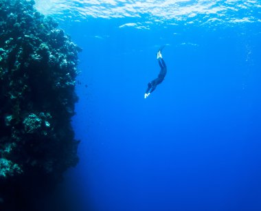 Freediver mercan resifi boyunca suyun altında hareket eder.