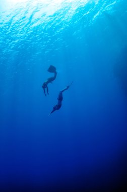 The romantic simultaneous freedive into the depth clipart